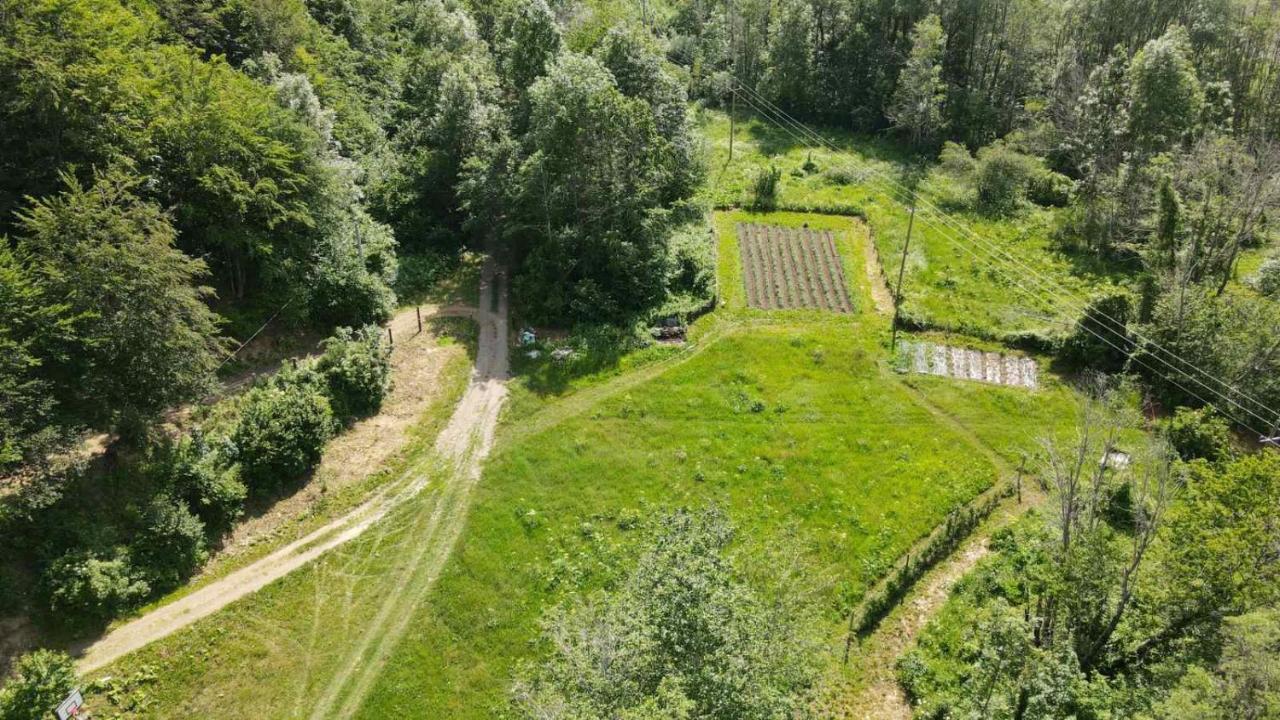 Holiday Bungalows Pajkovir Колашин Екстер'єр фото